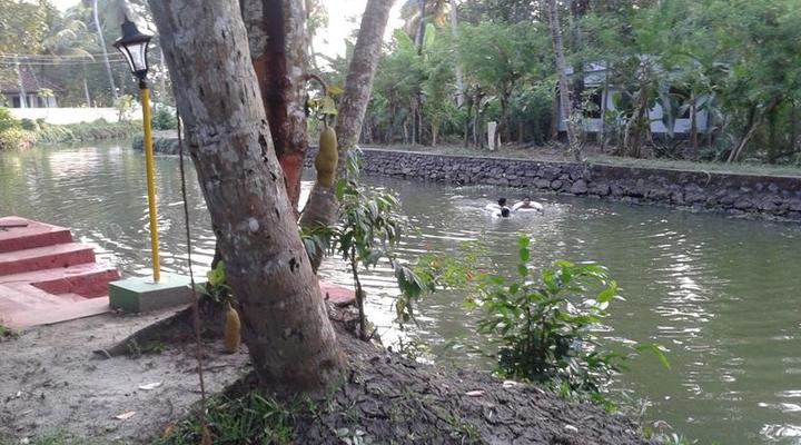 Aqua Lillies Waterfront Homestay