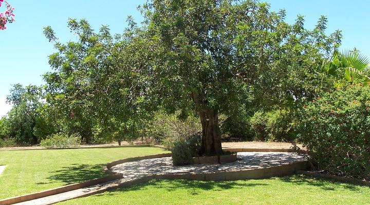 Spacious Villa in Vilamoura