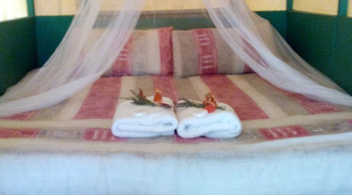 Tussen-I-Bome Oxwagon Resort