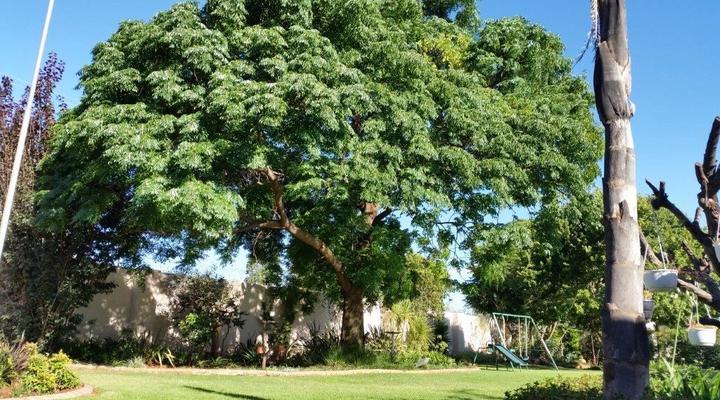 Tswingwana Guest Lodge