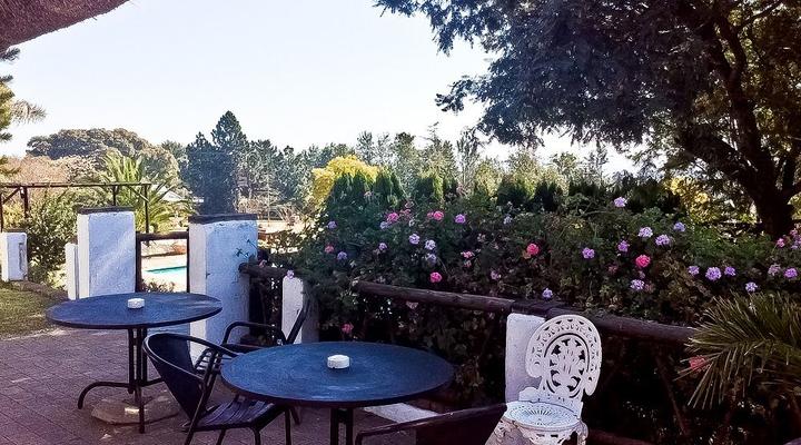 Norfolk Pine Guest House