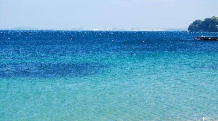 Comfy Hostel Studios