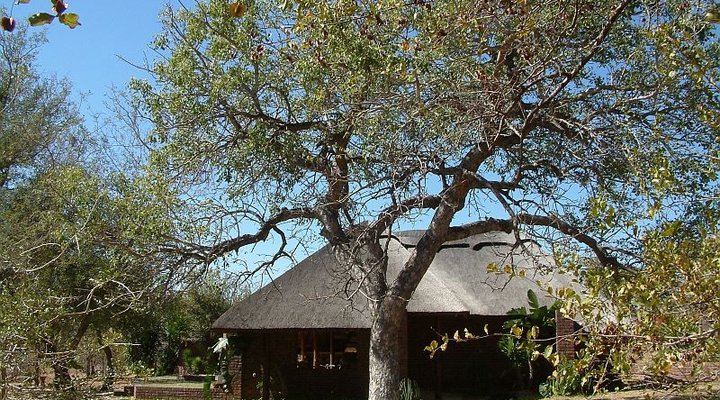 Masorini Bush Lodge