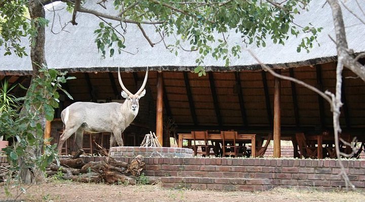 Masorini Bush Lodge