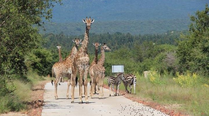 House 33 Blyde Wildlife Estate