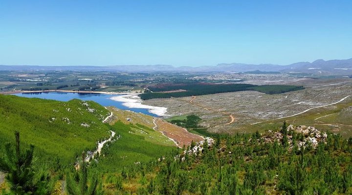 Tiggywinkle Cottages