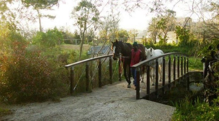 Tiggywinkle Cottages