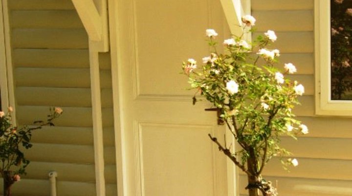 Tiggywinkle Cottages