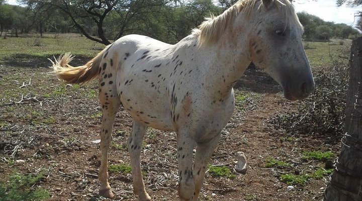 Gamkarab Cave and Adventure Trails