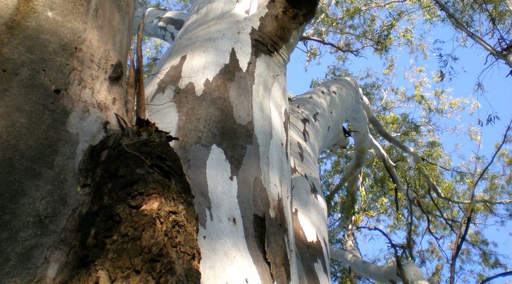 Damascus Bush and Mountain View Lodge Cyclist Retreat ™