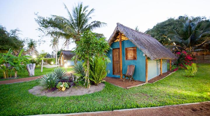 Zombie Cucumber Guest House