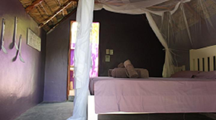 Zombie Cucumber Guest House