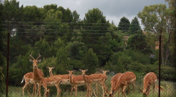 Krith Guest House and Self-catering