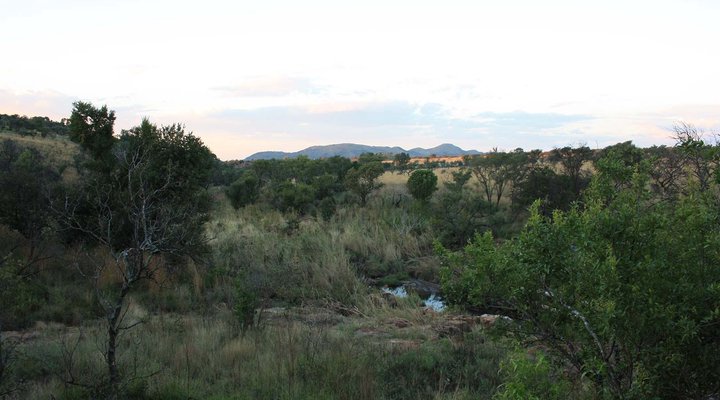 Utopia Nature Estate