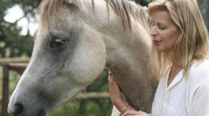 North Hills Country House