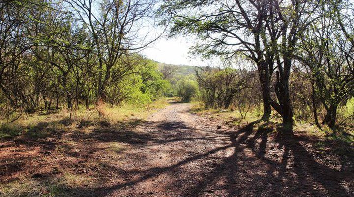 Thwane Bush Camp