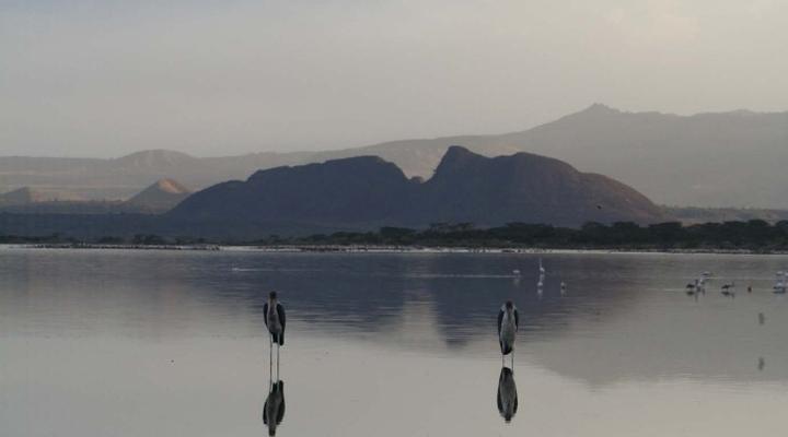 The Sleeping Warrior Camp