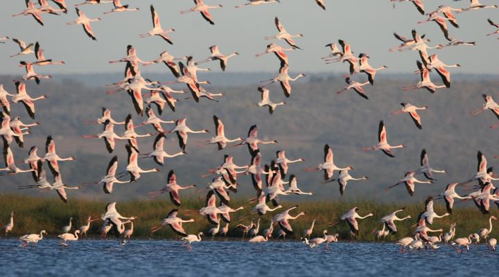 The Sleeping Warrior Camp