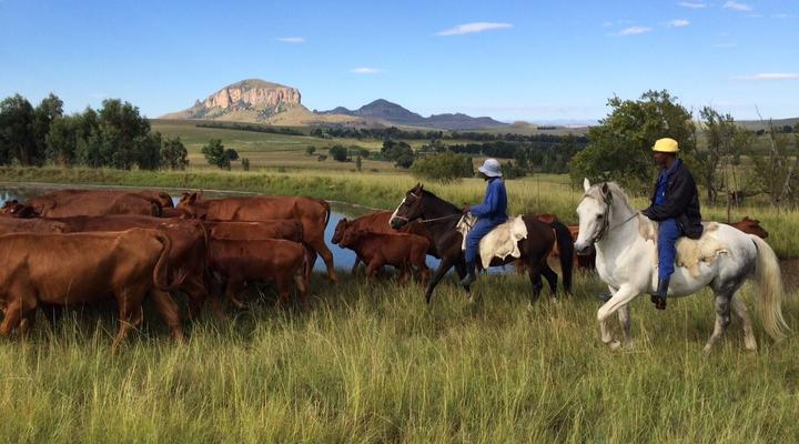 Klaarfontein Guest Farm