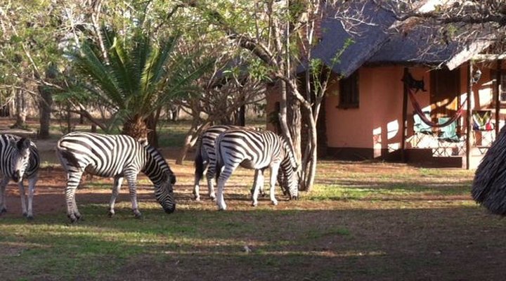 Ingulule Safari Camp