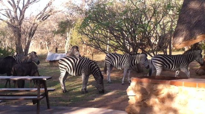 Ingulule Safari Camp