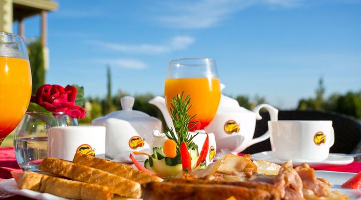 Giraffe Ark Game Lodge