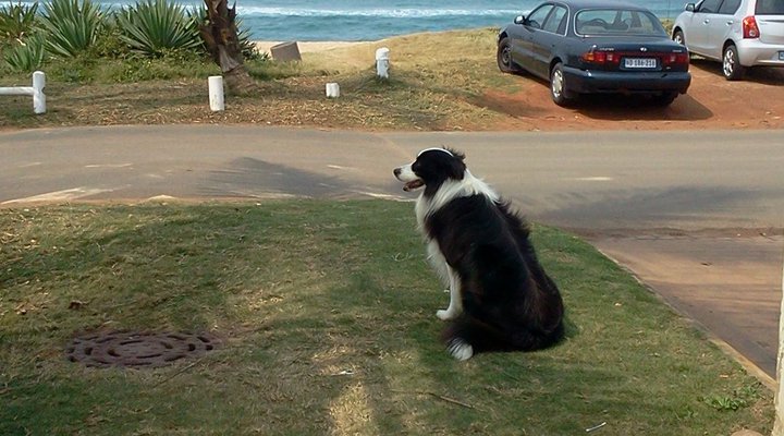 Beachside Self Catering Units