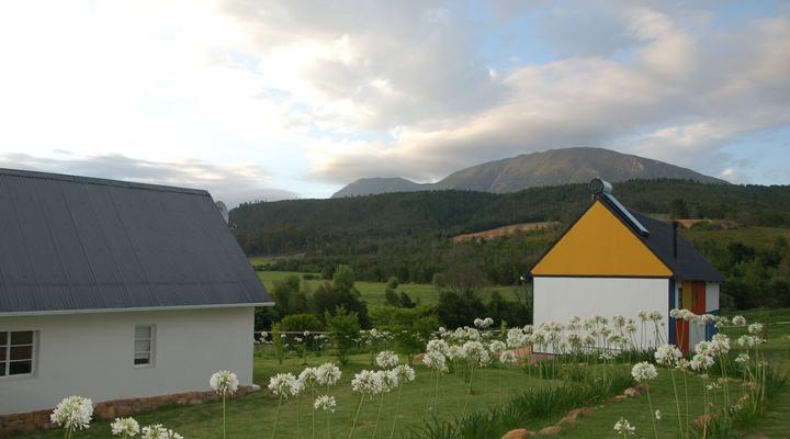 Gratitude Horse Farm