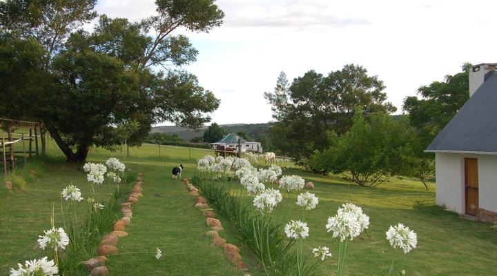 Gratitude Horse Farm