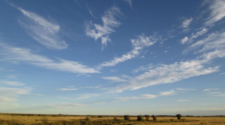 Truksvy B&B and Koffie Sjop