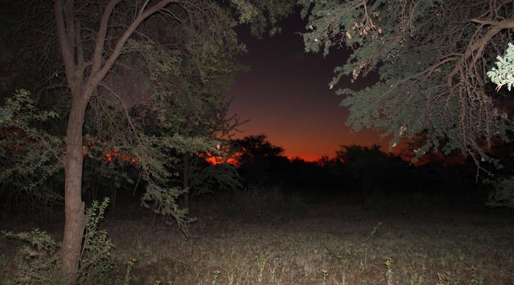 Kameel Rust and Vrede B&B and Camping