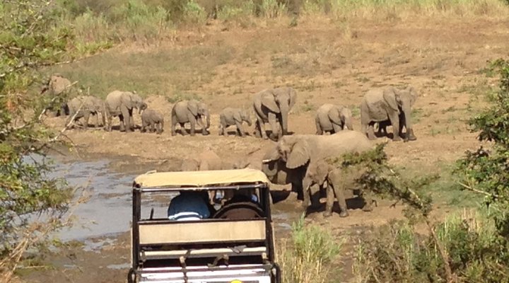 Hluhluwe Backpackers