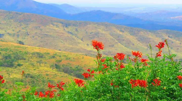 Hluhluwe Backpackers