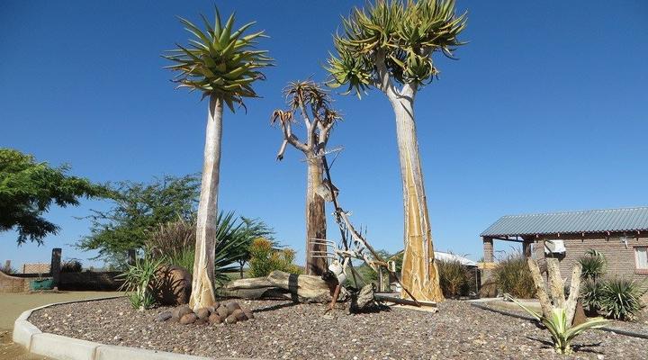 Trupen Garden Accommodation & Camping