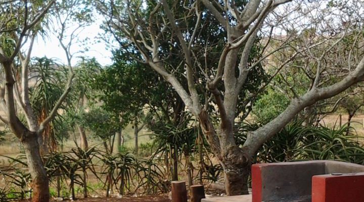 Hluhluwe Backpackers