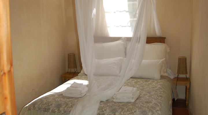 Gratitude Horse Farm