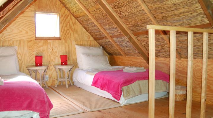 Gratitude Horse Farm