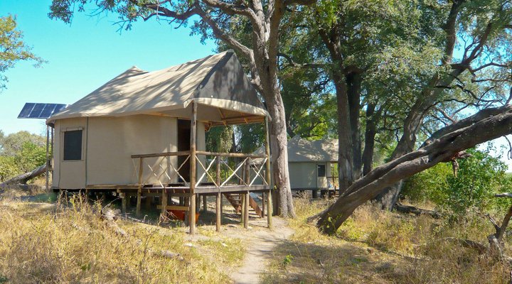 Camp Linyanti