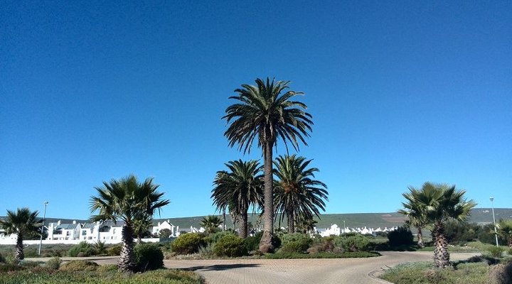 Weskus Khaya