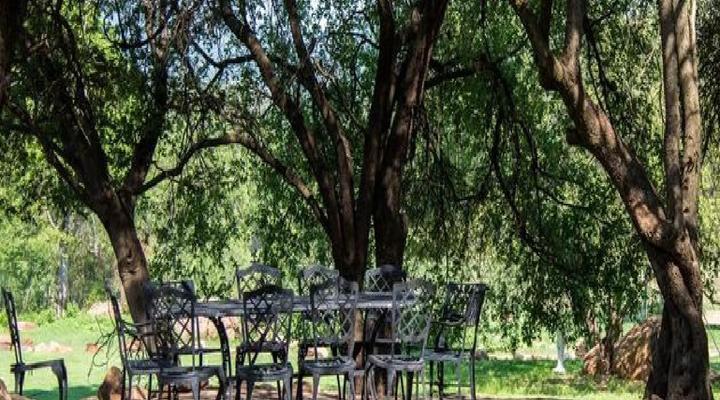 Wild Olive Country Retreat