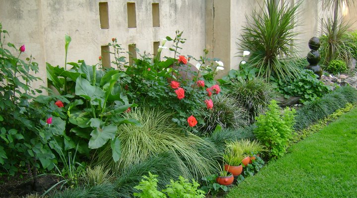 De Zonnebloem Guest House