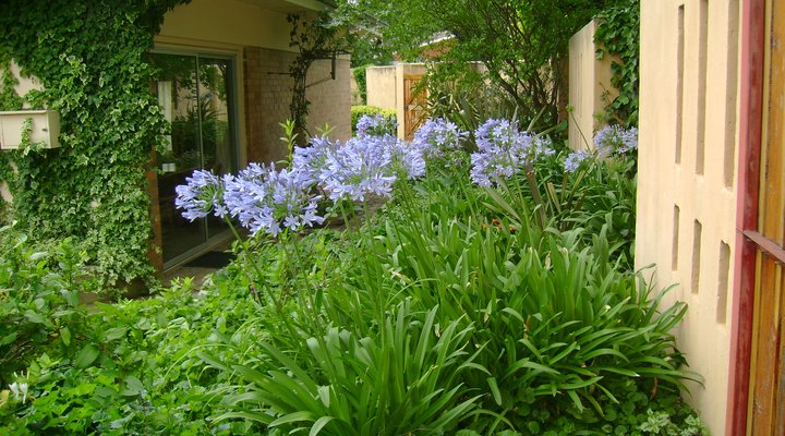 De Zonnebloem Guest House