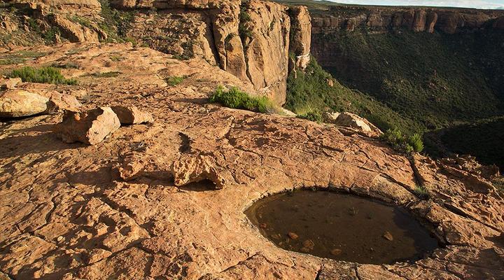 Vorstershoek Farm Accomodation