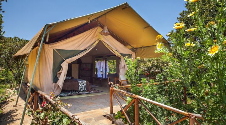 Rhino Watch Lodge and Tented Camp