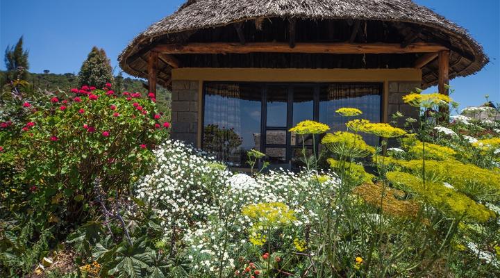 Rhino Watch Lodge and Tented Camp