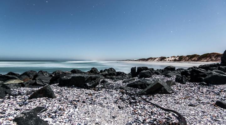 Buffalo Drift - Captain's Cabin