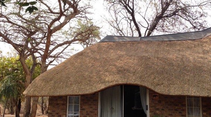 Bushbabies Bushveld Lodge