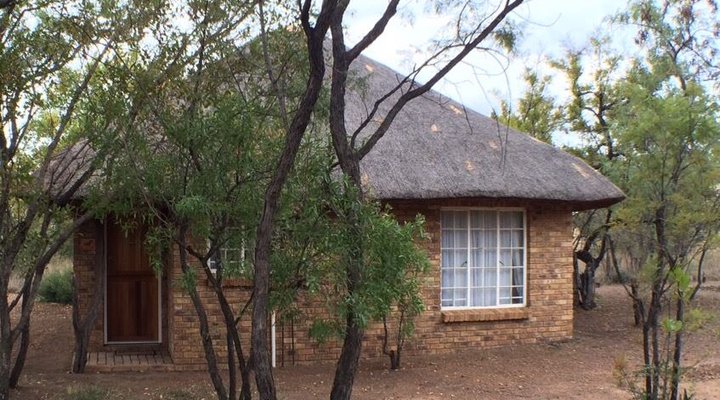 Bushbabies Bushveld Lodge