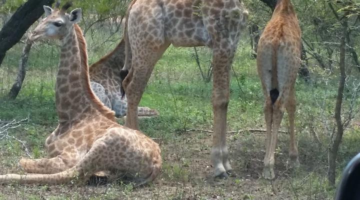 Itumeleng Self-catering Cottage