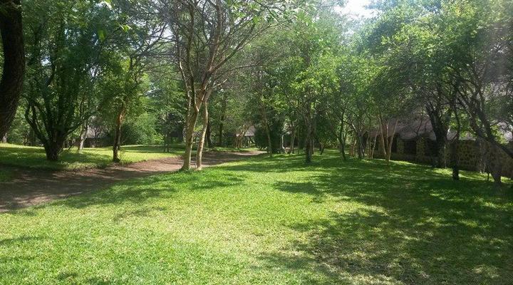 Dimbangombe Safari Lodge
